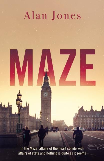 Kniha Maze Alan Jones