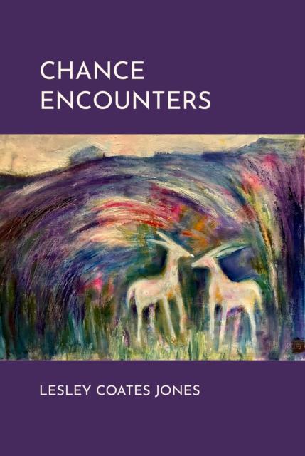 Kniha Chance Encounters Lesley Coates Jones