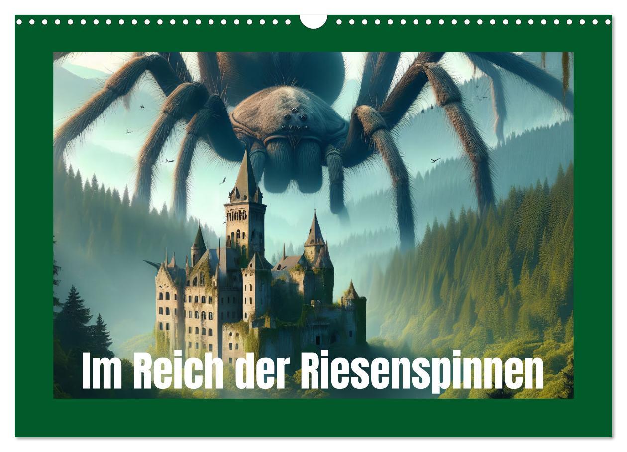 Kalendár/Diár Im Reich der Riesenspinnen (Wandkalender 2026 DIN A3 quer), CALVENDO Monatskalender Calvendo