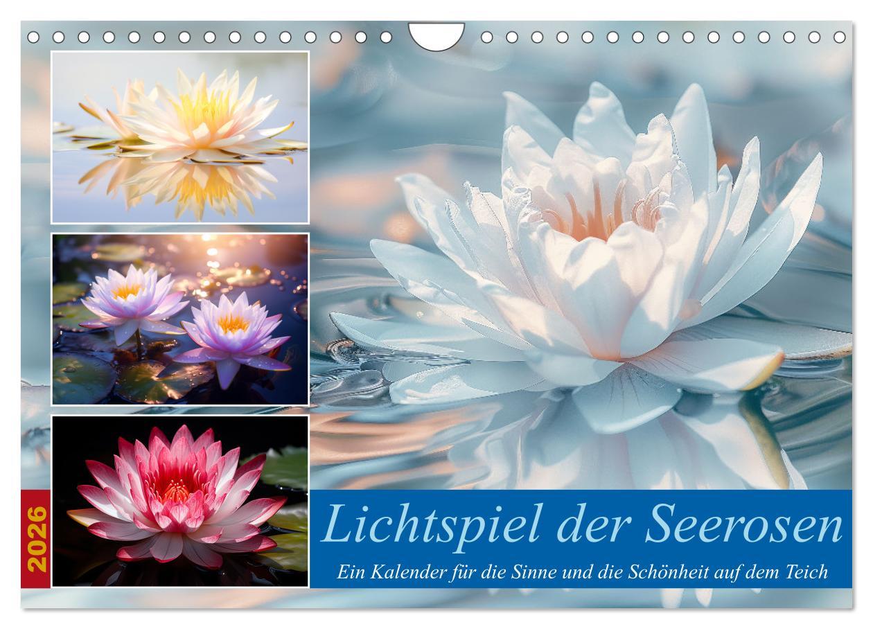 Kalendář/Diář Lichtspiel der Seerosen (Wandkalender 2026 DIN A4 quer), CALVENDO Monatskalender Calvendo