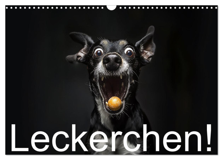 Kalendář/Diář Leckerchen! (Wandkalender 2026 DIN A3 quer), CALVENDO Monatskalender Calvendo