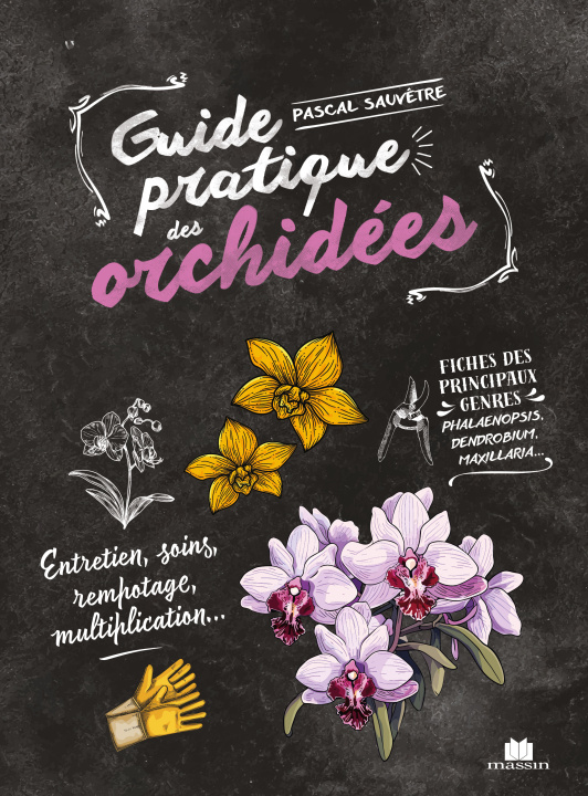 Kniha Orchidées Sauvêtre