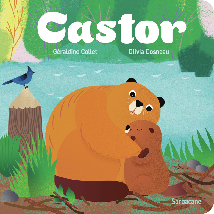 Книга Castor Collet