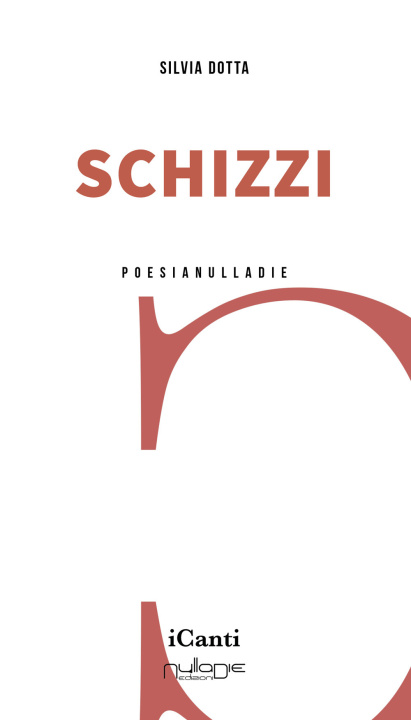 Βιβλίο Schizzi Silvia Dotta