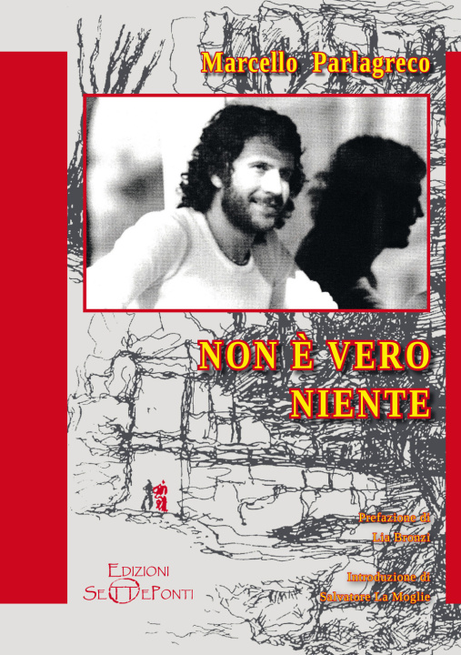 Kniha Non è vero niente Marcello Parlagreco