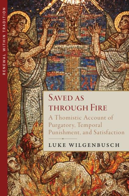 Book Saved as through Fire Luke Wilgenbusch