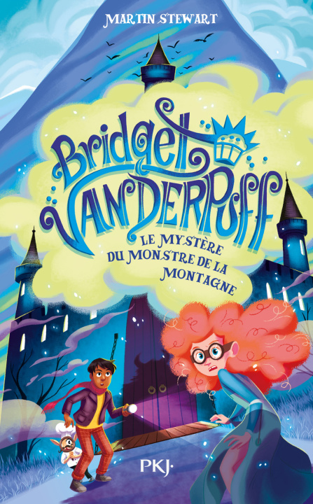 Kniha Bridget Vanderpuff T4 Martin Stewart