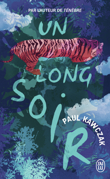 Buch Un long soir Kawczak