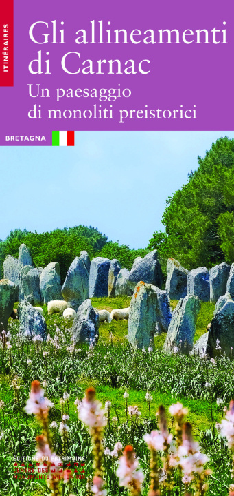 Kniha Les Alignements de Carnac (italien) 