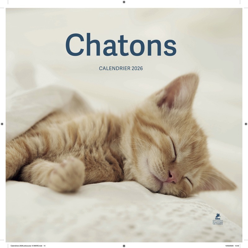 Kalendář/Diář Calendrier Chatons 2026 