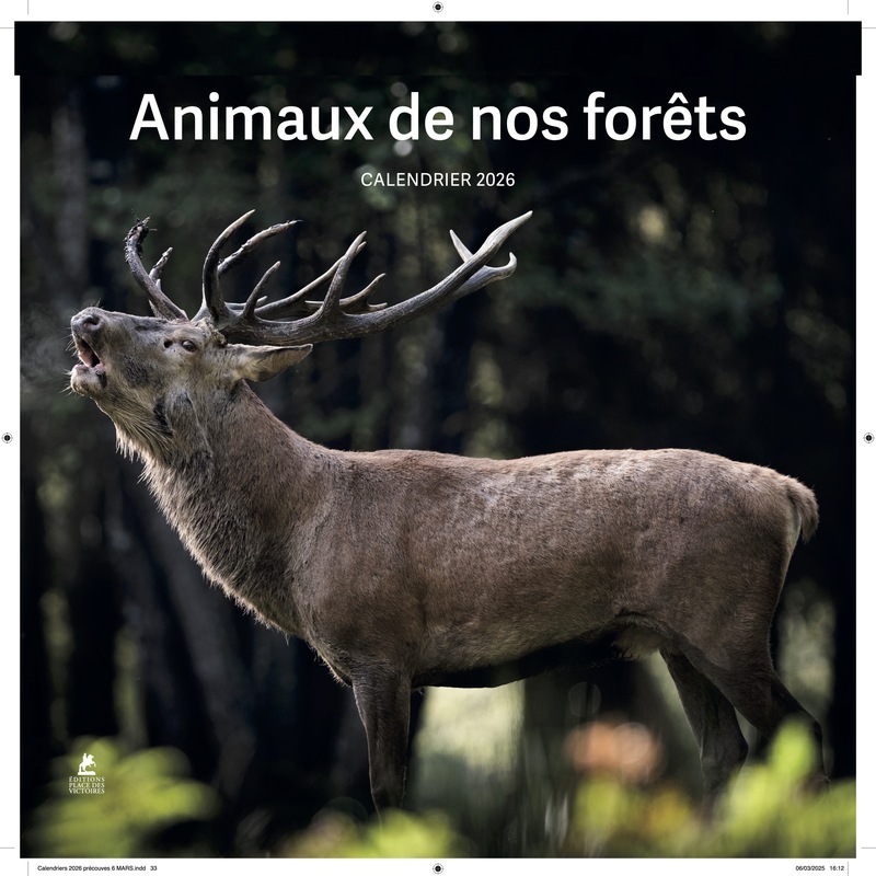 Calendario/Diario Calendrier Animaux de nos Forêts 2026 