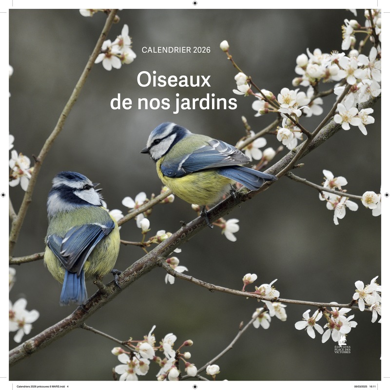 Calendario/Diario Calendrier Oiseaux de nos jardins 2026 