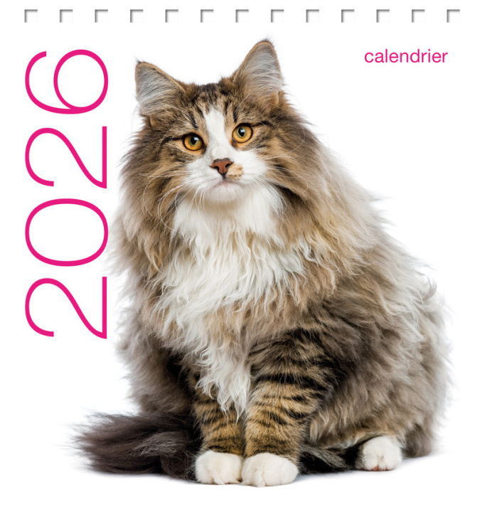 Kalendář/Diář Calendrier de table 2026 - Chats 