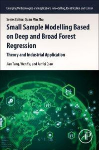 Kniha Small Sample Modelling Based on Deep and Broad Forest Regression Wen Yu