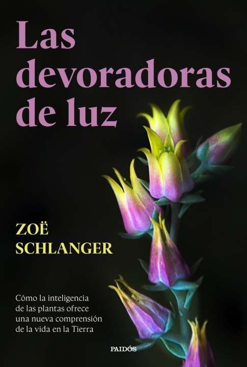 Kniha Las devoradoras de luz ZOE SCHLANGER