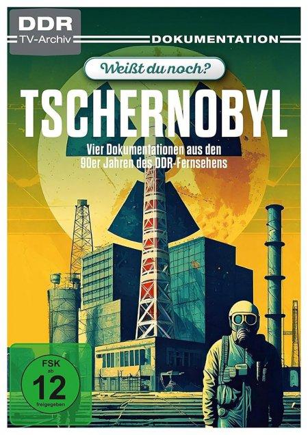 Video Weißt du noch? - Tschernobyl Britta Wulf