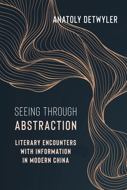 Buch Seeing Through Abstraction Anatoly Detwyler