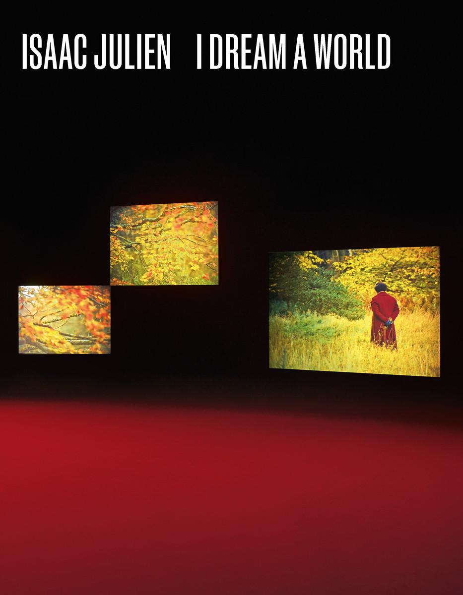 Kniha Isaac Julien B Ruby Rich