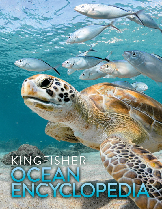 Kniha The Kingfisher Ocean Encyclopedia KINGFISHER