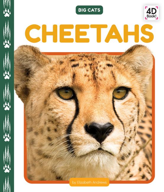 Kniha Cheetahs 