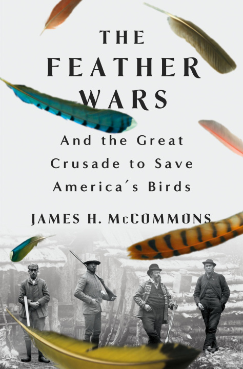 Kniha The Feather Wars MCCOMMONS JAMES H