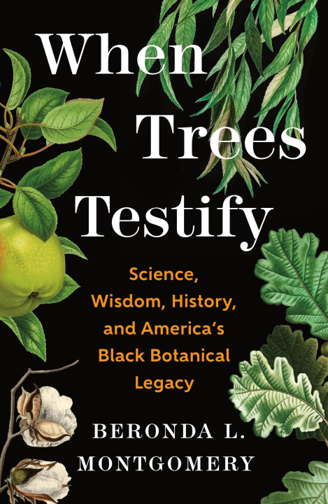 Kniha When Trees Testify MONTGOMERY BERONDA L
