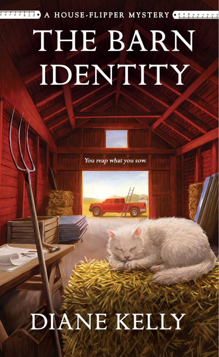 Buch The Barn Identity Diane Kelly