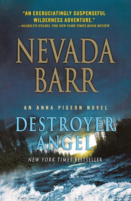 Kniha Destroyer Angel 