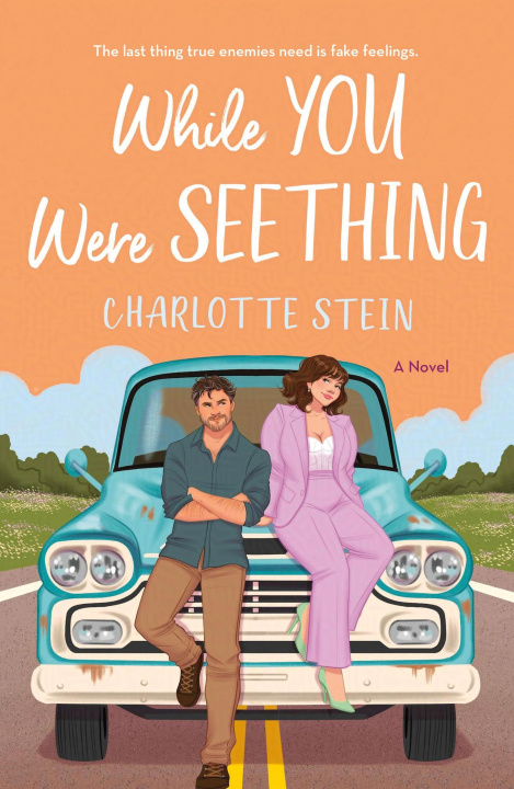 Kniha While You Were Seething STEIN CHARLOTTE