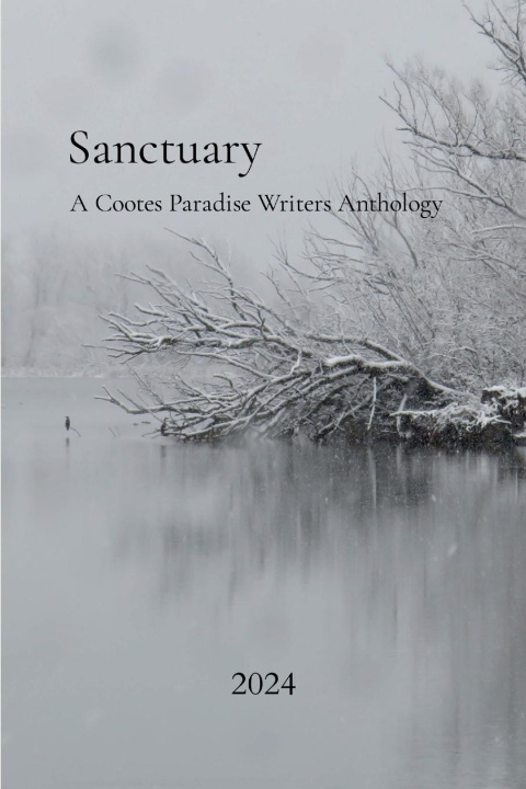 Buch Sanctuary Rachel Caruk