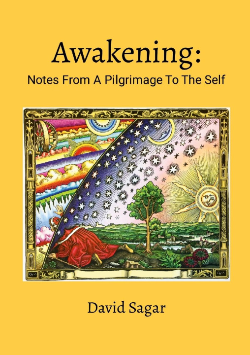 Knjiga Awakening David Sagar
