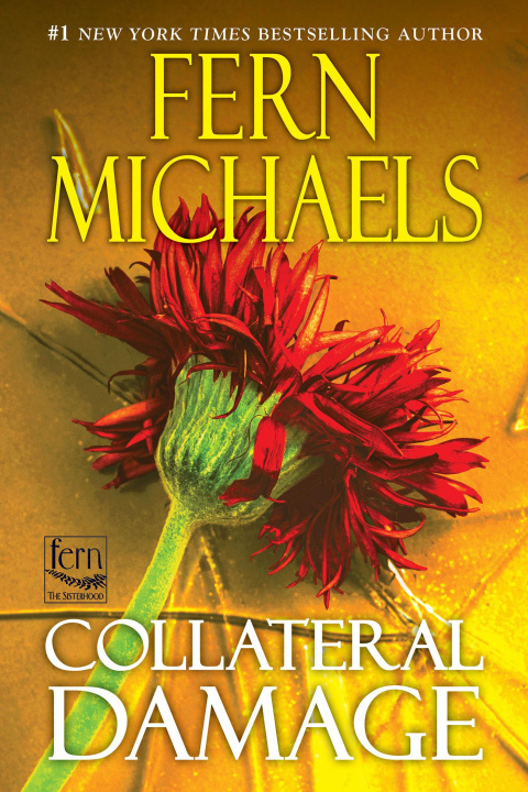Kniha Collateral Damage MICHAELS FERN