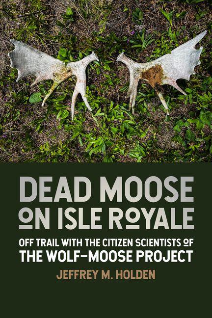 Kniha Dead Moose on Isle Royale Jeffrey M Holden