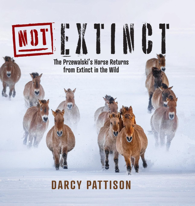 Kniha NOT Extinct Darcy Pattison