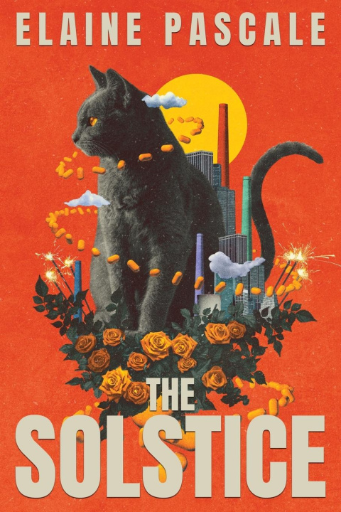 Kniha The Solstice 
