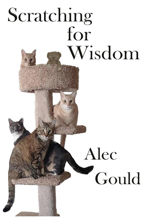 Kniha Scratching for Wisdom Alec Gould