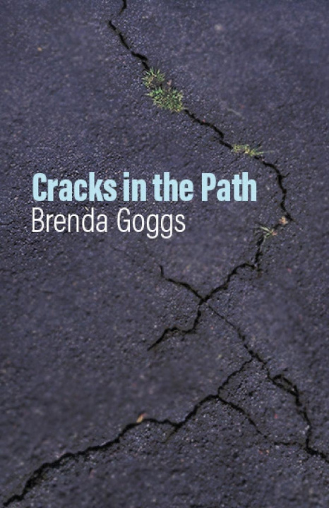 Kniha Cracks in the Path 