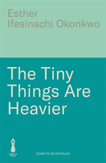 Kniha The Tiny Things Are Heavier Esther Ifesinachi Okonkwo