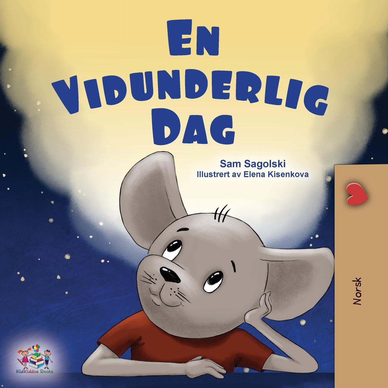 Libro A Wonderful Day (Norwegian Book for Children) Kidkiddos Books
