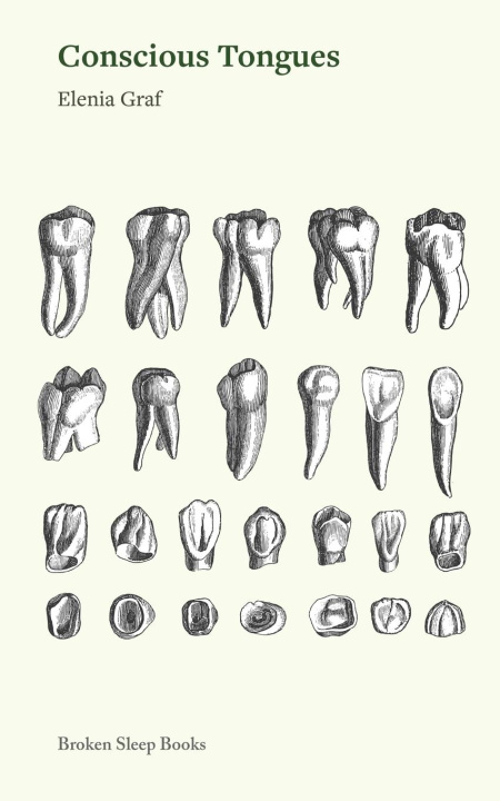 Kniha Conscious Tongues 