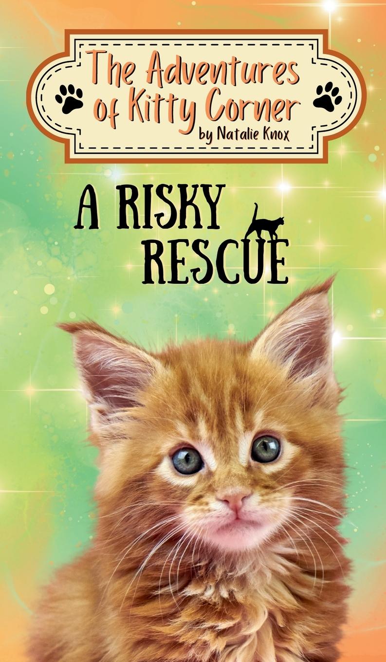 Kniha A Risky Rescue Natalie Knox
