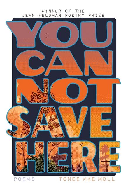 Kniha You Cannot Save Here 
