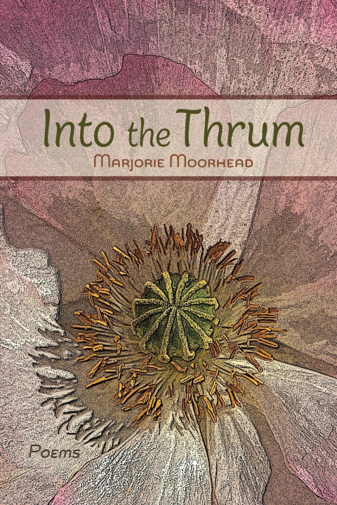 Kniha Into the Thrum 