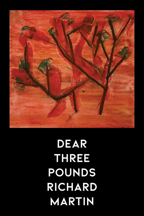 Kniha Dear Three Pounds 
