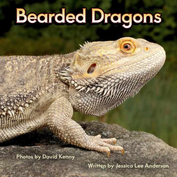 Boek Bearded Dragons David Kenny