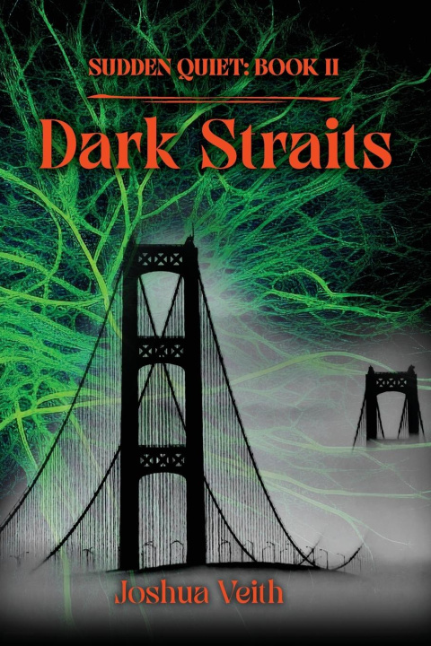 Kniha Dark Straits Joshua Veith