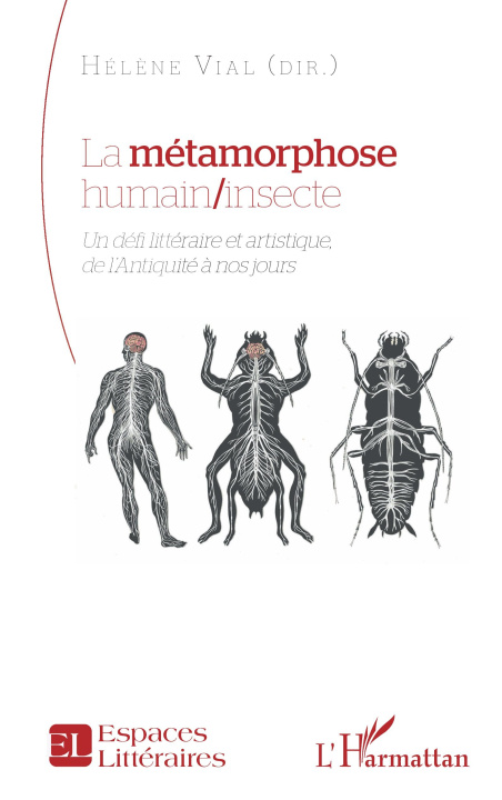 Kniha La métamorphose humain/insecte Hélène Vial