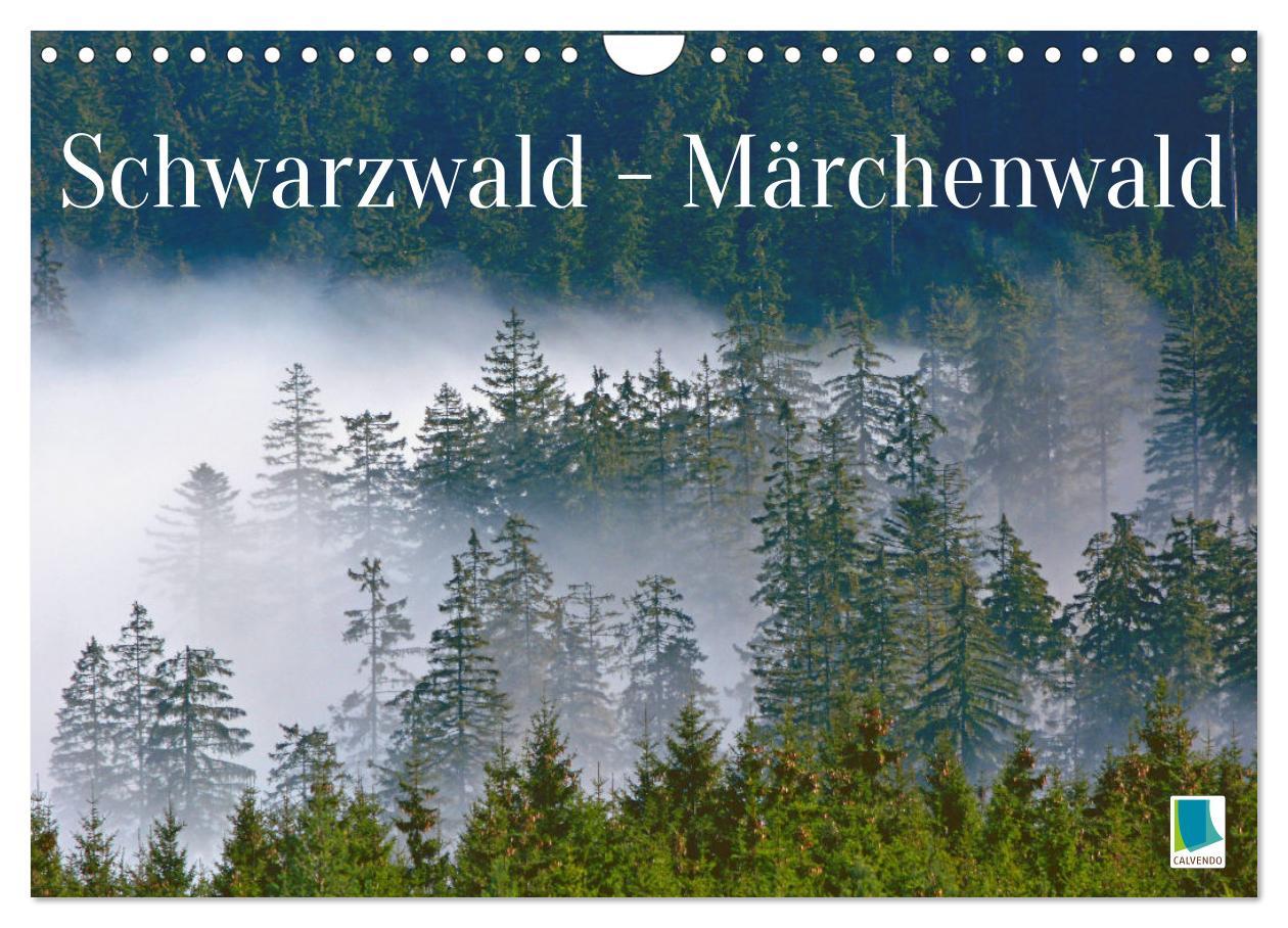 Kalendář/Diář Schwarzwald - Märchenwald (Wandkalender 2026 DIN A4 quer), CALVENDO Monatskalender Calvendo