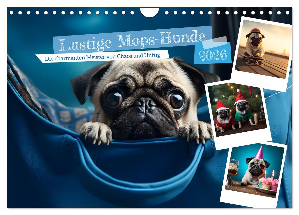 Kalendář/Diář Lustige Mops-Hunde: Die charmanten Meister von Chaos und Unfug (Wandkalender 2026 DIN A4 quer), CALVENDO Monatskalender Calvendo