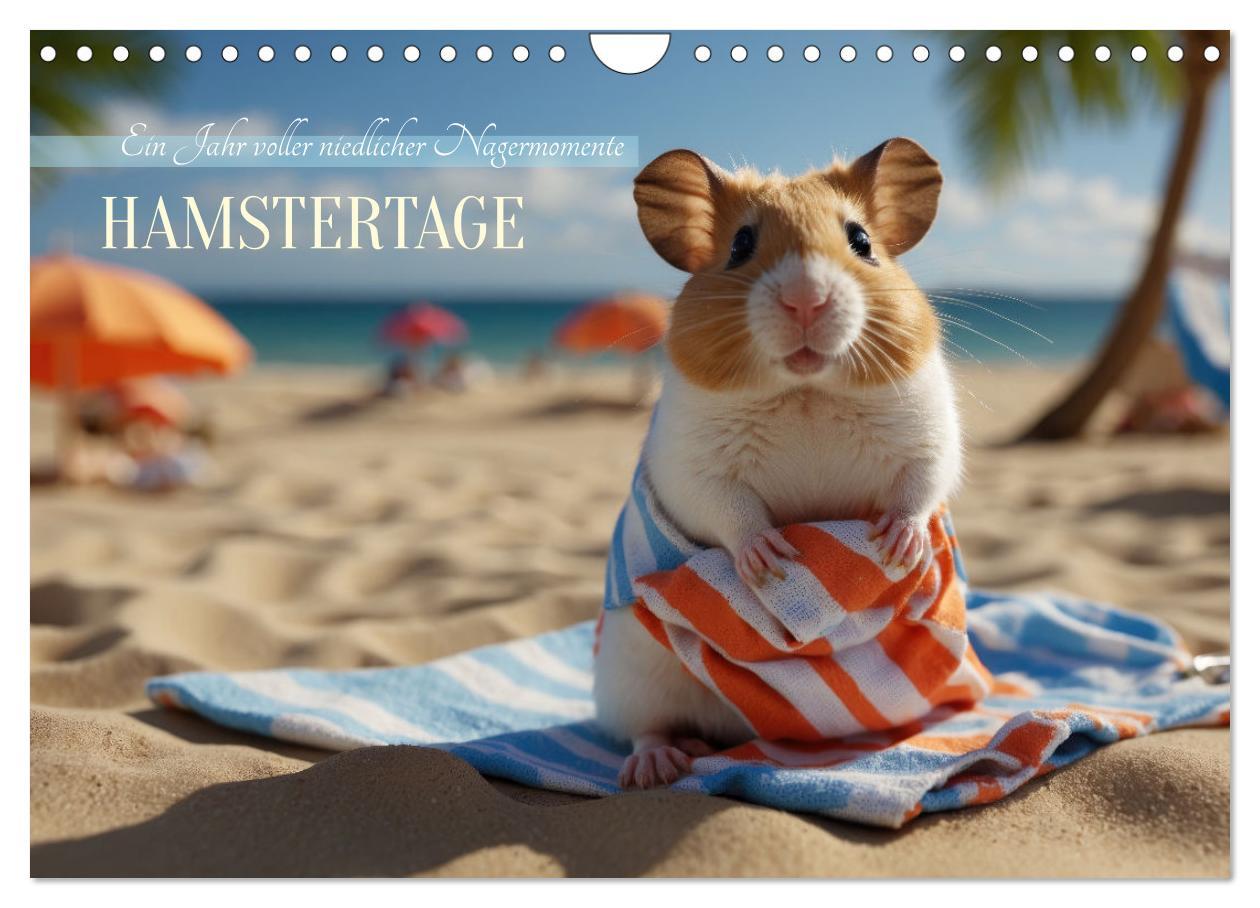 Calendario/Diario Hamstertage (Wandkalender 2026 DIN A4 quer), CALVENDO Monatskalender Calvendo